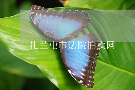 扎兰屯市法院拍卖网 扎兰屯市法院拍卖网