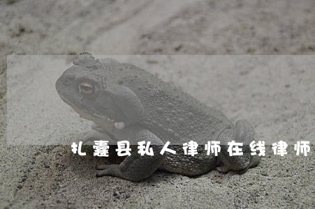 扎囊县私人律师在线律师