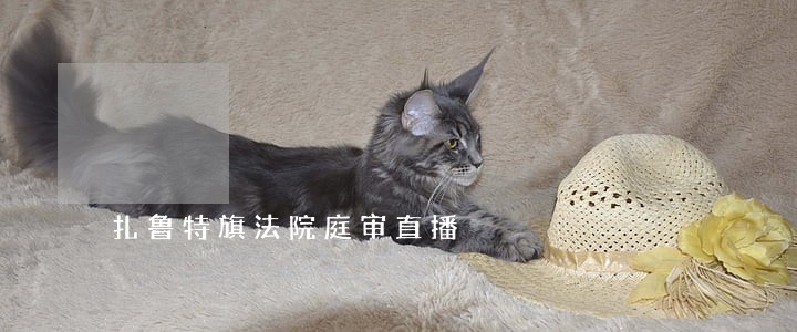 扎鲁特旗法院庭审直播 扎鲁特旗法院庭审直播