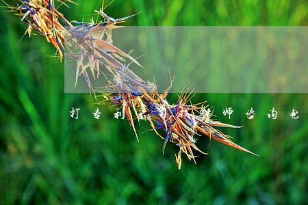 打专利官司找律师咨询电话 打专利官司找律师咨询电话