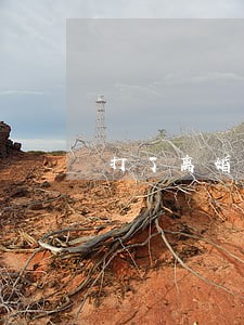 打了离婚协议没打结婚证 打了离婚协议没打结婚证
