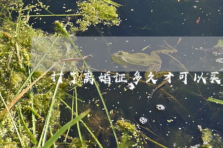 打了离婚证多久才可以买房 打了离婚证多久才可以买房
