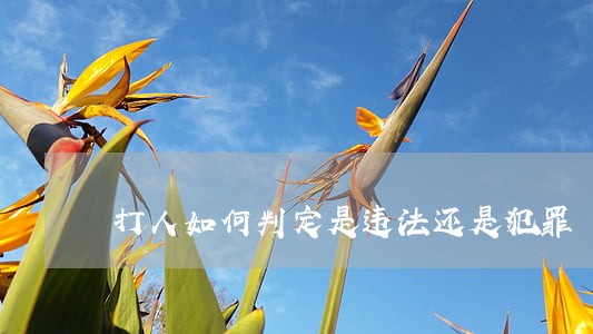 打人如何判定是违法还是犯罪 打人如何判定是违法还是犯罪