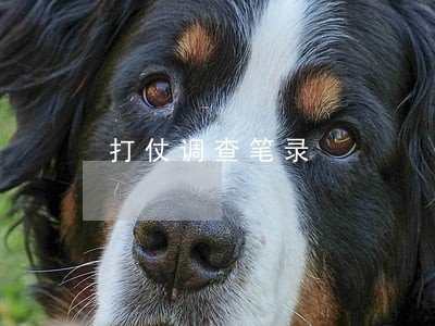 打仗调查笔录 打仗调查笔录