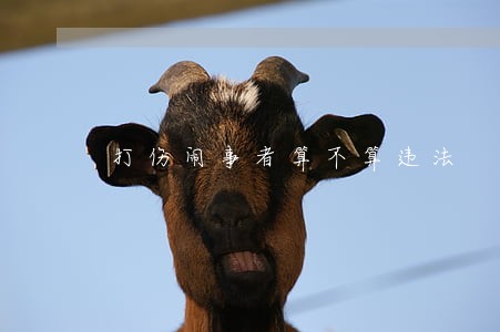 打伤闹事者算不算违法 打伤闹事者算不算违法