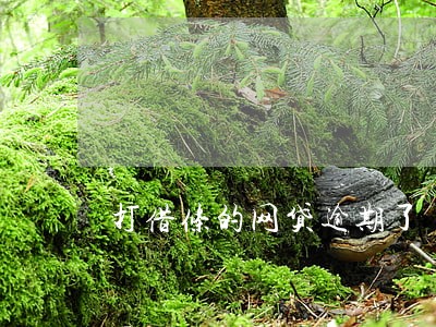 打借条的网贷逾期了 打借条的网贷逾期了