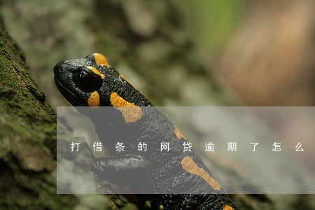 打借条的网贷逾期了怎么办 打借条的网贷逾期了怎么办
