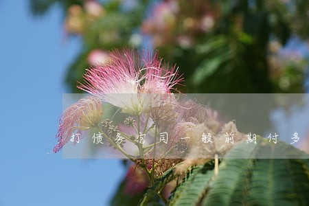 打债务官司一般前期付多少律师费 打债务官司一般前期付多少律师费