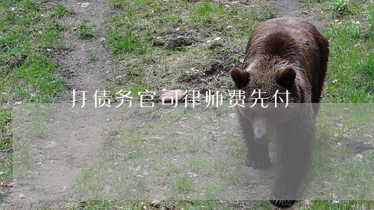 打债务官司律师费先付 打债务官司律师费先付