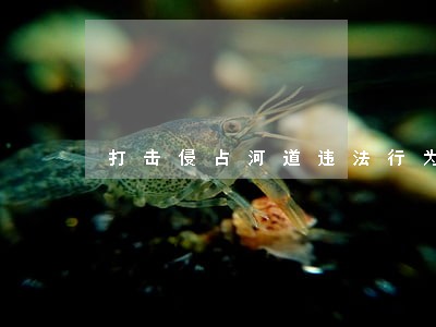 打击侵占河道违法行为 打击侵占河道违法行为