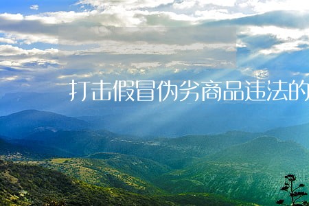 打击假冒伪劣商品违法的整改方案 打击假冒伪劣商品违法的整改方案