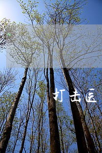 打击医疗器械挂靠违法 打击医疗器械挂靠违法