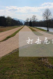 打击危险废物违法运输