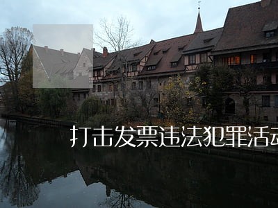 打击发票违法犯罪活动打分细则 打击发票违法犯罪活动打分细则