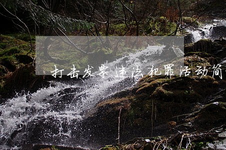 打击发票违法犯罪活动简报 打击发票违法犯罪活动简报