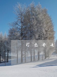 打击寄递渠道涉烟违法 打击寄递渠道涉烟违法