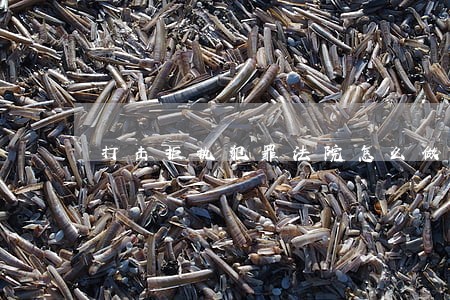 打击拒执犯罪法院怎么做 打击拒执犯罪法院怎么做