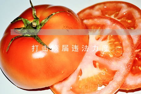 打击换届违法力度 打击换届违法力度