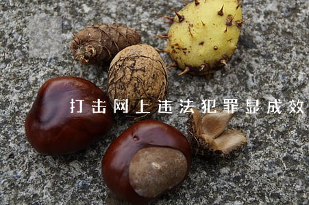 打击网上违法犯罪显成效