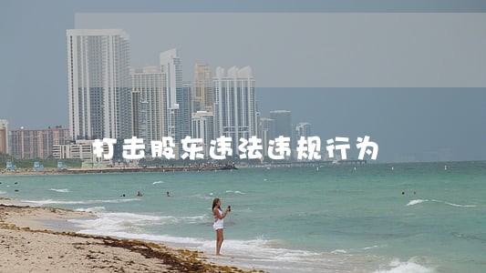 打击股东违法违规行为 打击股东违法违规行为