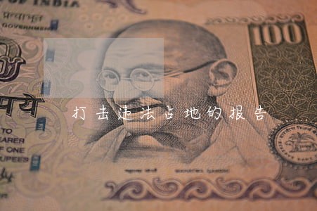 打击违法占地的报告 打击违法占地的报告