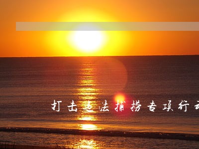 打击违法捕捞专项行动总结 打击违法捕捞专项行动总结