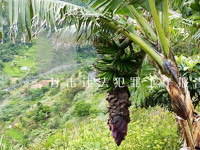 打击违法犯罪工作报告 打击违法犯罪工作报告