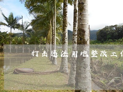 打击违法用地整改工作方案 打击违法用地整改工作方案