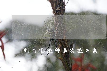 打击违法种参实施方案