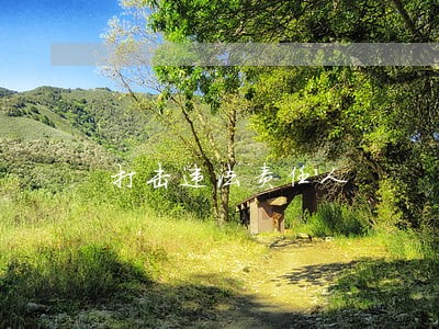 打击违法责任人 打击违法责任人
