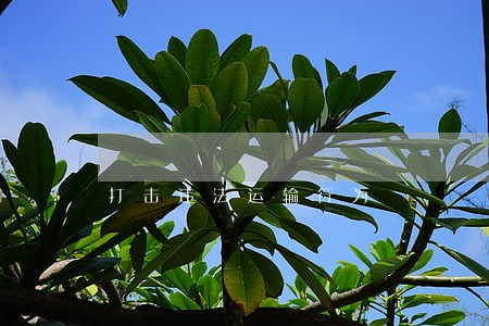 打击违法运输行为 打击违法运输行为