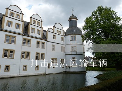 打击违法运输车辆