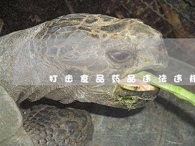 打击食品药品违法违规行动