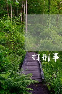 打刑事官司专业律师联系电话 打刑事官司专业律师联系电话