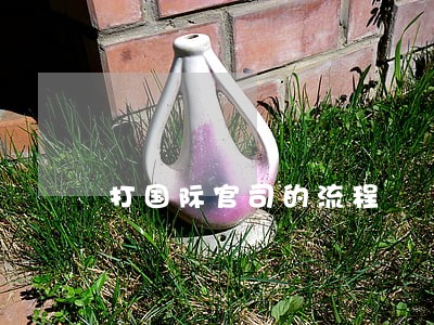 打国际官司的流程 打国际官司的流程