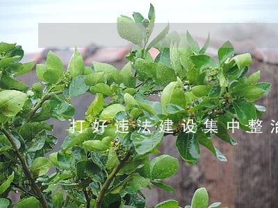 打好违法建设集中整治攻坚战
