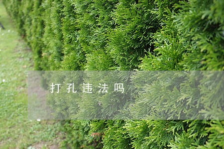 打孔违法吗 打孔违法吗
