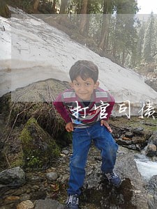打官司债务问题律师 打官司债务问题律师