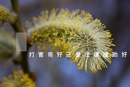 打官司好还是法律援助好 打官司好还是法律援助好