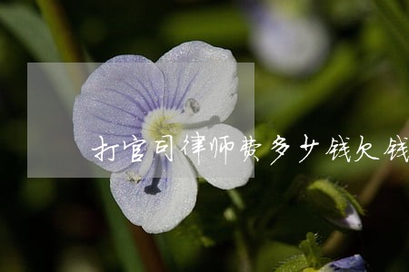 打官司律师费多少钱欠钱 打官司律师费多少钱欠钱