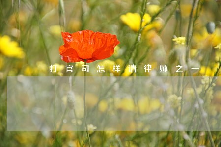 打官司怎样请律师之一