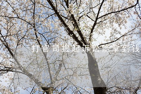 打官司提起诉讼能拿到钱 打官司提起诉讼能拿到钱