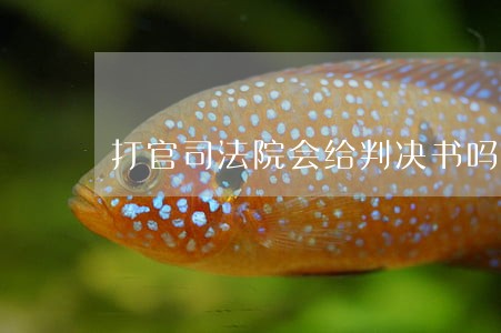 打官司法院会给判决书吗多久