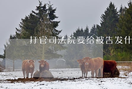打官司法院要给被告发什么