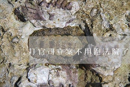 打官司立案不用跑法院了 打官司立案不用跑法院了