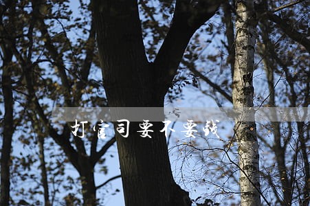 打官司要不要钱 打官司要不要钱