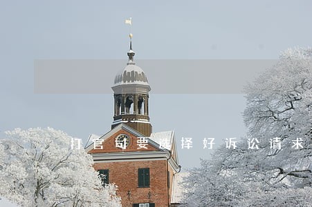 打官司要选择好诉讼请求 打官司要选择好诉讼请求