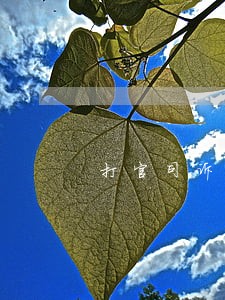 打官司诉讼费一般是多少钱 打官司诉讼费一般是多少钱