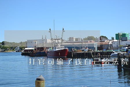 打官司输了钱自己给法院吗