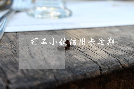 打工小伙信用卡逾期